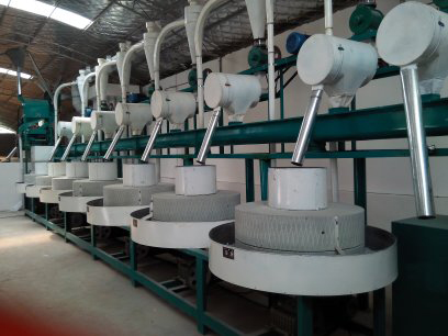 日處理小麥12噸設(shè)備